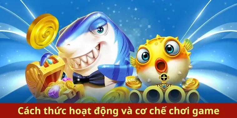 Cách Chơi Bắn Cá Royal Fishing Tại AZ888 Đơn Giản Thắng Lớn 2 Cách Chơi Bắn Cá Royal Fishing Tại AZ888 Đơn Giản Thắng Lớn