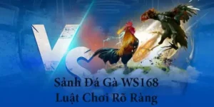 Cách chơi Đá Gà WS168 tại AZ888 chi tiết dễ hiểu nhất