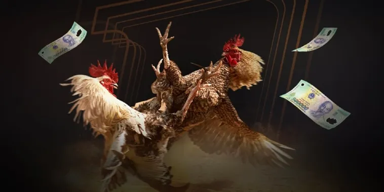 Trải Nghiệm Đá Gà AZ888 Với Luật Chơi Đơn Giản Và Tỷ Lệ Thắng Cao 1 Tiêu đề: Trải Nghiệm Đá Gà AZ888 Với Luật Chơi Đơn Giản Và Tỷ Lệ Thắng Cao